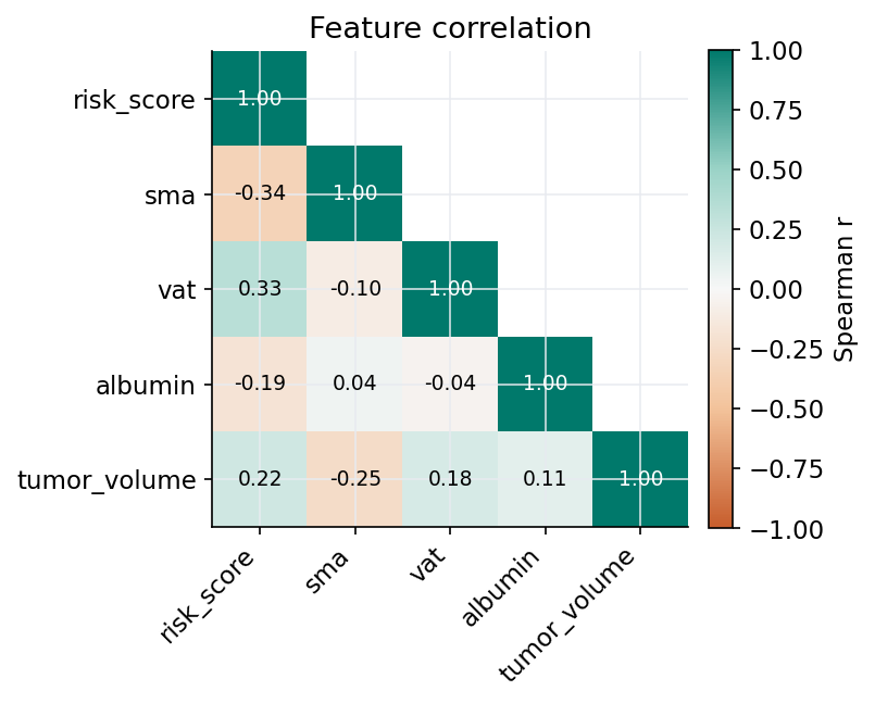 Correlation heatmap